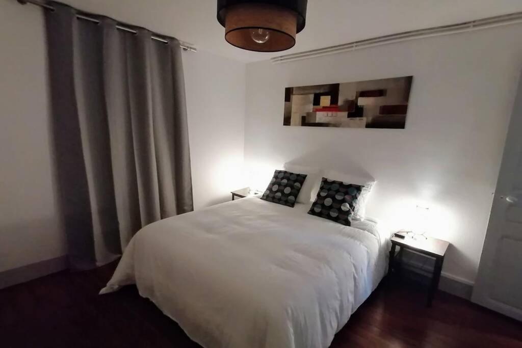 Le Laventin - 52M2 - Boulevard De La Grotte - Hyper Centre Lourdes Eksteriør bilde
