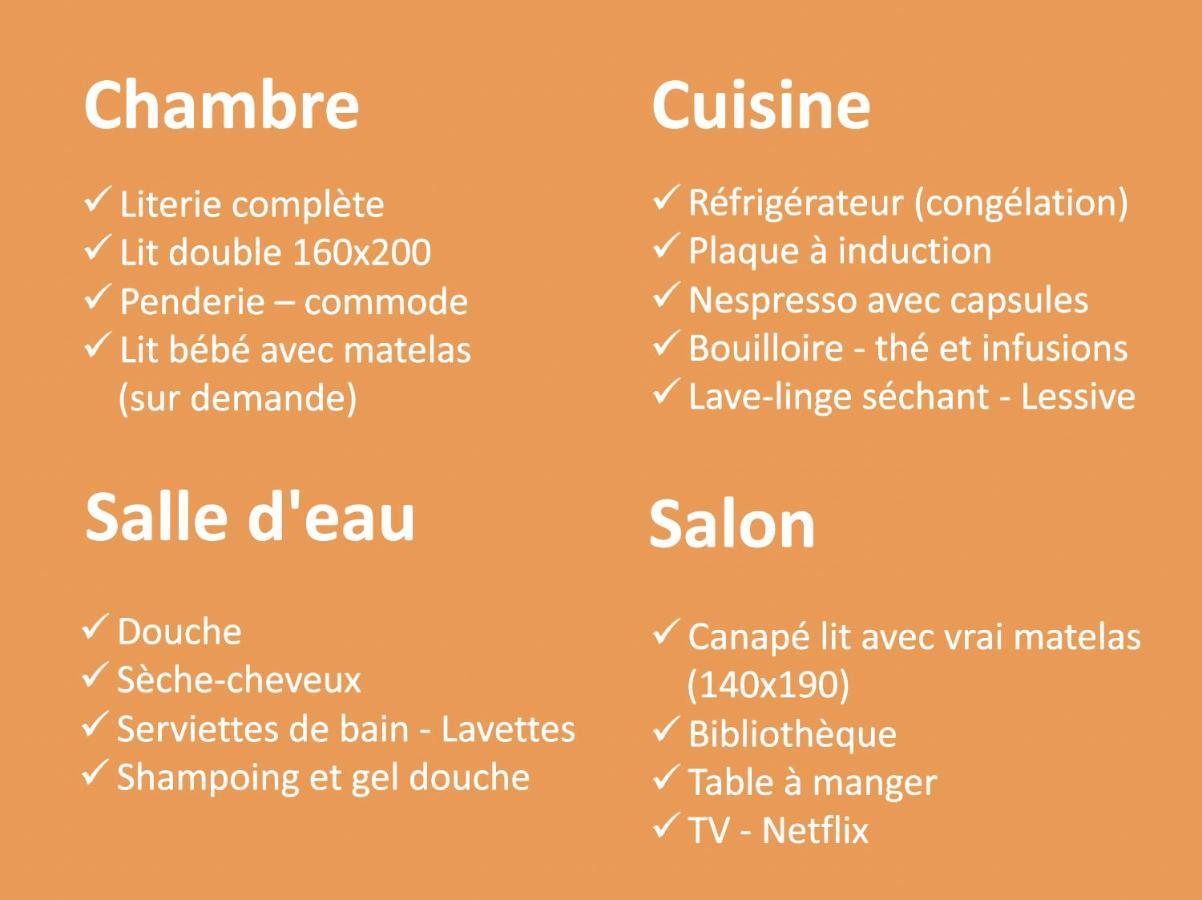 Le Laventin - 52M2 - Boulevard De La Grotte - Hyper Centre Lourdes Eksteriør bilde